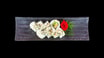 121. Green Uramaki