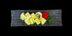 111. Uramaki Mango tun