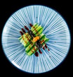68. Nigiri Agurk