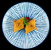 67. Nigiri Tofu
