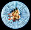 63. Nigiri Flamberet reje