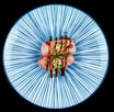 60. Nigiri Flamberet tun