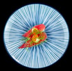61. Nigiri Mini tun